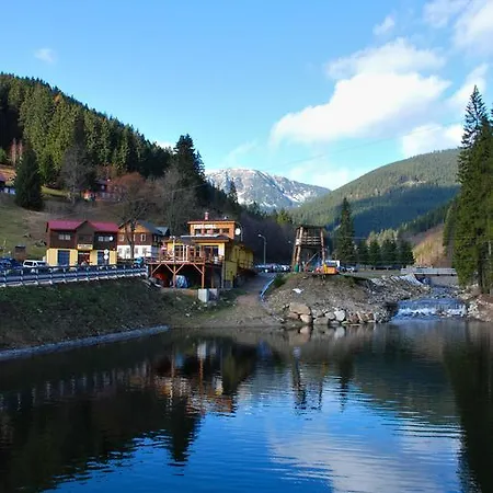Krokus Pec pod Sněžkou