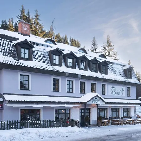 Hotel Krokus 3*