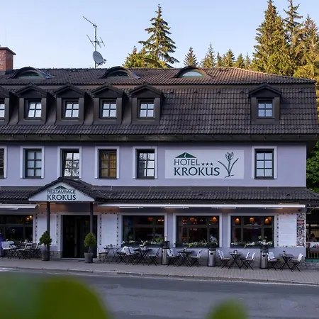 Hotel Krokus 3*