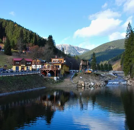 Krokus Pec pod Snezkou