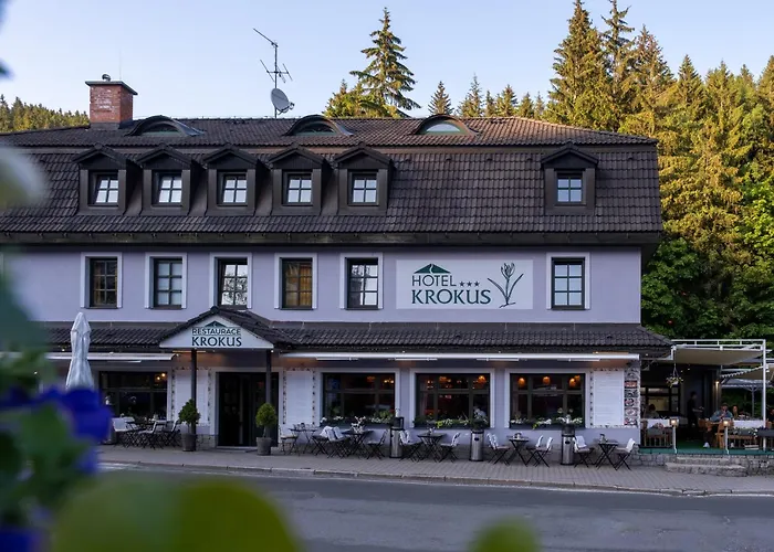Hotel Krokus 3*